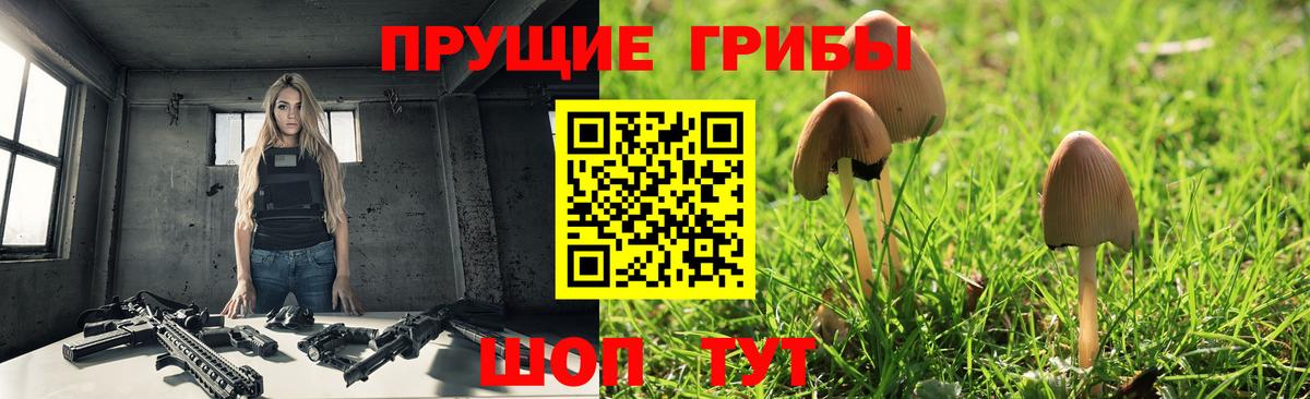 Псилоцибиновые грибы мицелий  Вход с VPN  Киселёвск 