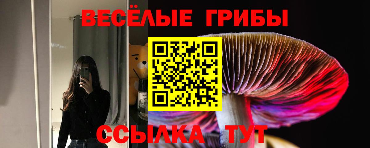 Галлюциногенные грибы GOLDEN TEACHER Киселёвск